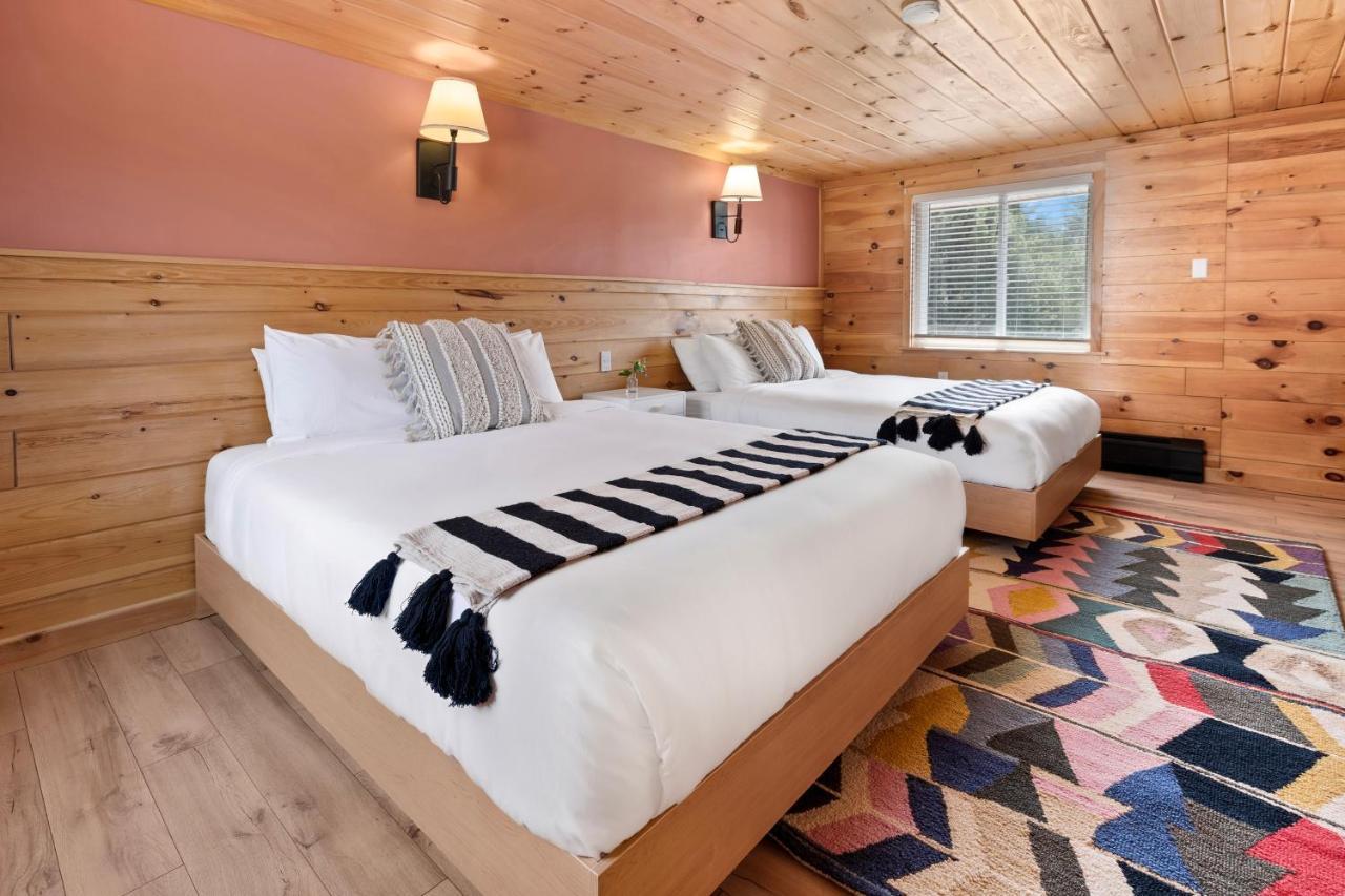 Wolfjaw Lodge Wilmington Exteriör bild